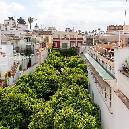 Casa Guadalupe *