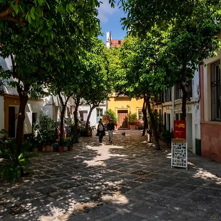 Casa Guadalupe Holiday home Seville